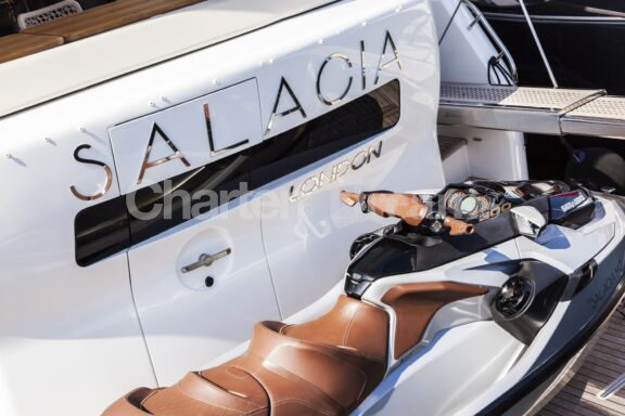 SALACIA gallery image